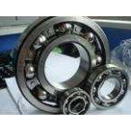 SKF Bearings