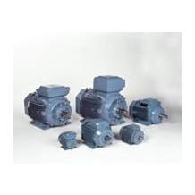 ABB Exe Explosion Proof Motors