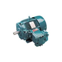 Explosion Proof Motors